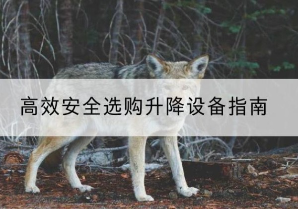 五指山升降货梯厂家推荐-*安全选购升降设备指南