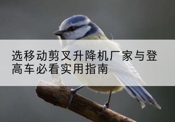 五指山电动升降机厂家-选移动剪叉升降机厂家与登高车必看实用指南